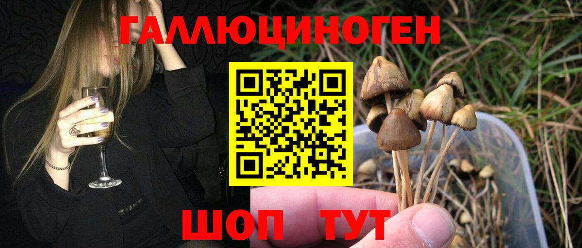 Галлюциногенные грибы прущие грибы  Вход с VPN  купить наркотик  Псилоцибиновые грибы GOLDEN TEACHER  Кубинка 